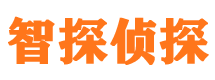 冷水江外遇调查取证